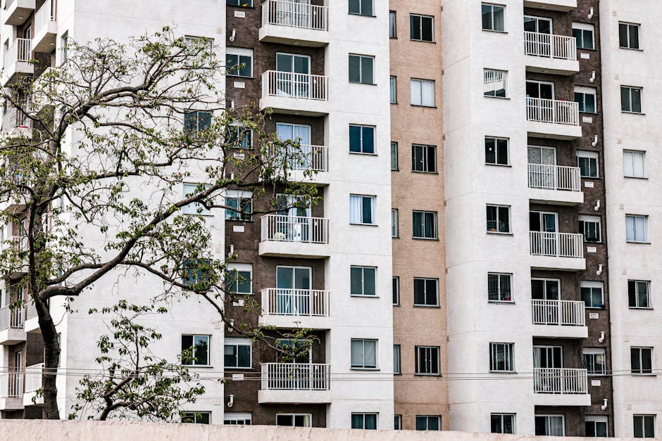 Real Estate Management